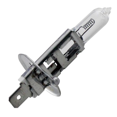 LÁMPARA H1 12V 55W