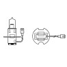 LÁMPARA H3 12V 55W