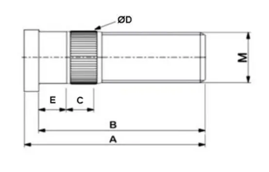 Esquema esparrago F2.webp