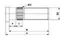 Esquema esparrago F2.webp