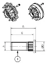Esquema esparrago 1.webp